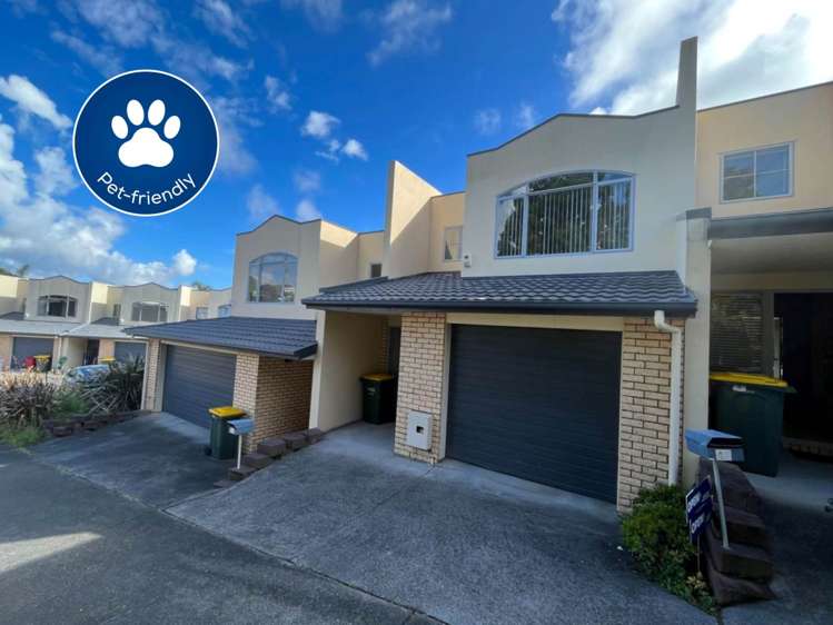 48 Palmgreen Court Stanmore Bay_0