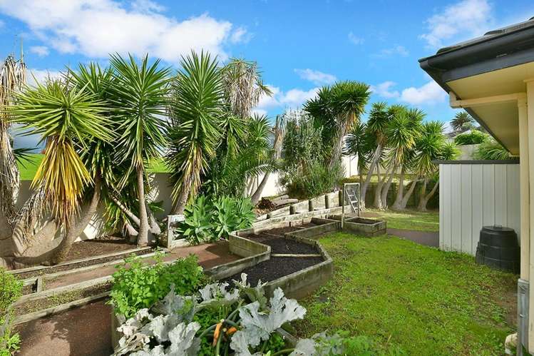 84 Pinecrest Drive Gulf Harbour_17