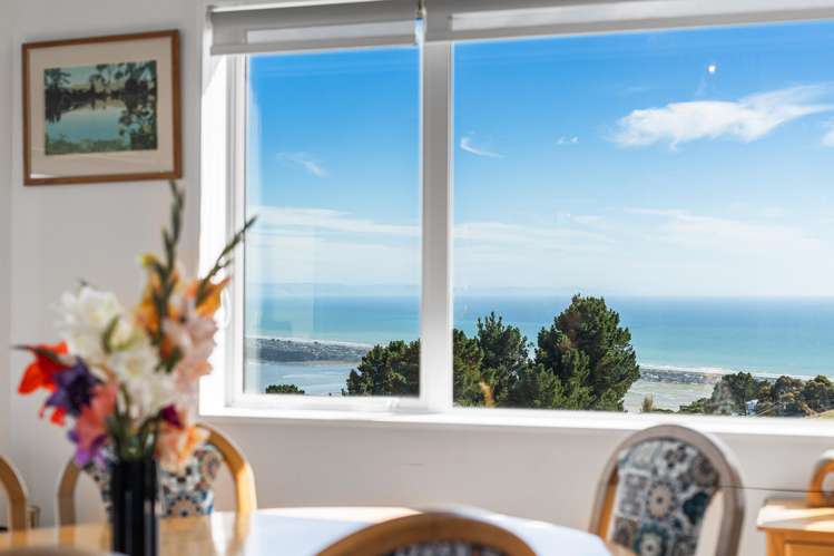 4 Ridgeview Lane Mount Pleasant_28