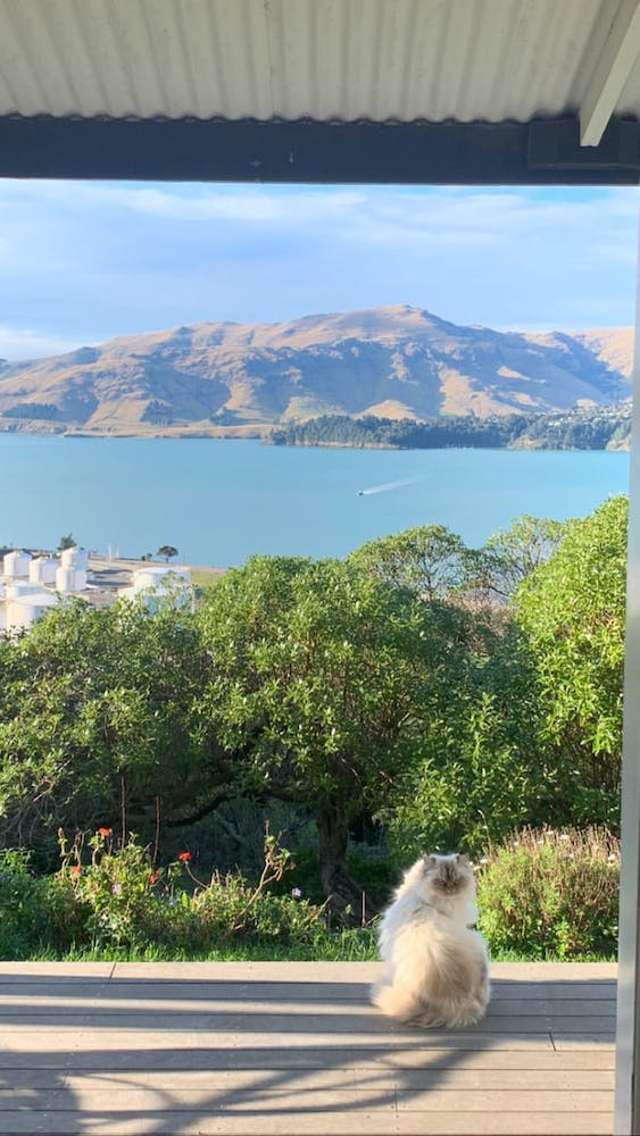 78 Cressy Terrace Lyttelton_1