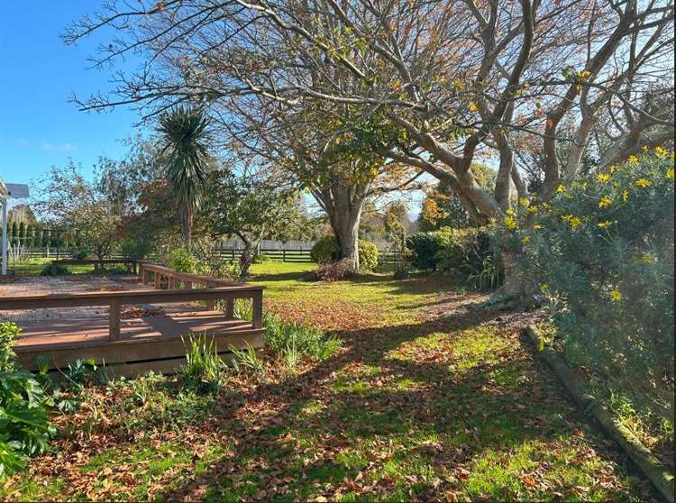 75 North Street Greytown_11