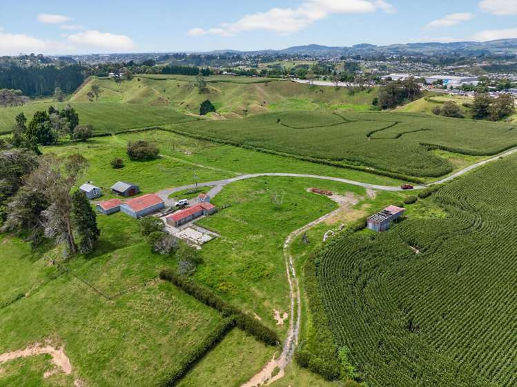 764 SH 29 Ferncliffe Farm Tauriko_14