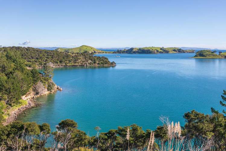 1107D SH 25 Manaia Kereta/Te Kouma Coromandel_16