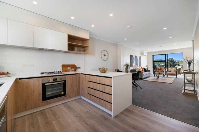 13 Henry Maxwell Way Flat Bush_2