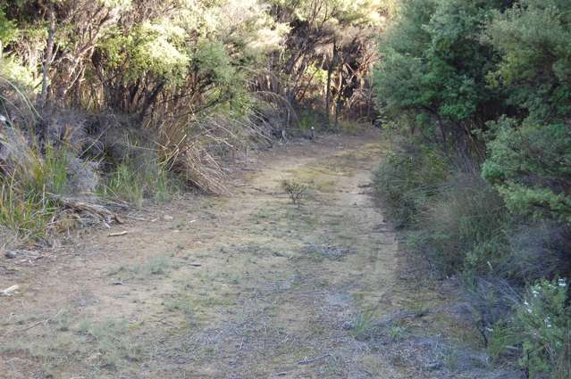 16 Harpoon Hill Great Barrier Island (Aotea Island)_3