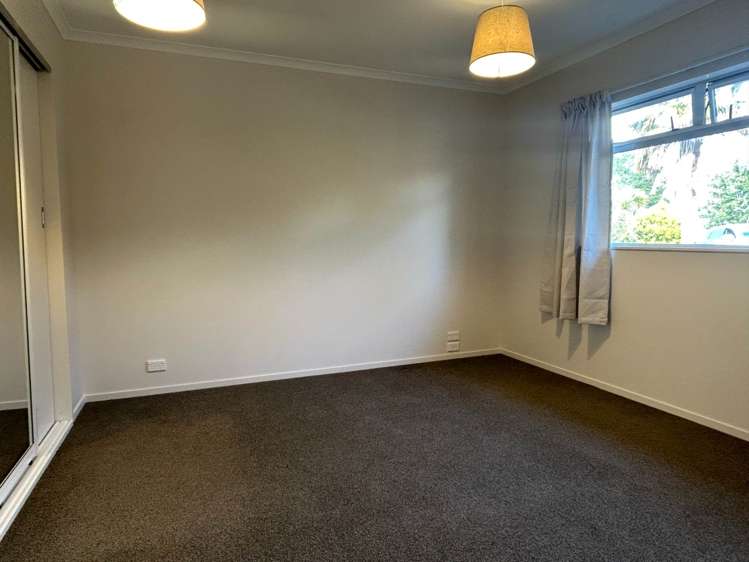 182b Ross Road Whakamarama_16