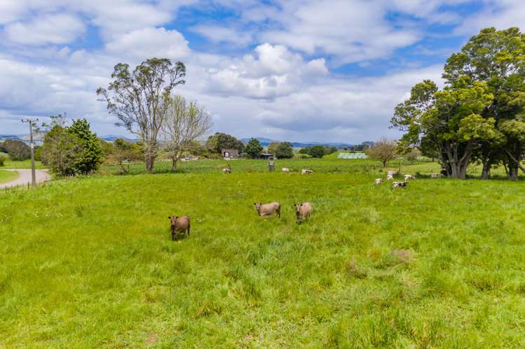 345 Waikaramu Road Kerikeri_2