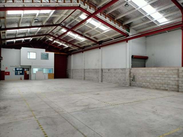 126 Ellis Street Frankton_3