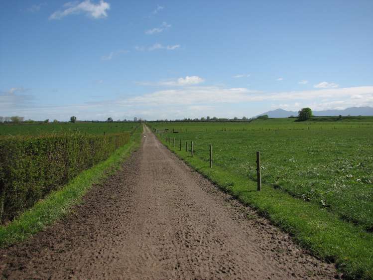 221 Tower Road Matamata_7