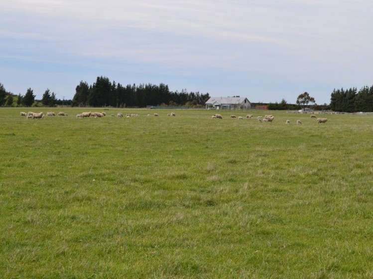 581 Rockford Road Waimakariri_19