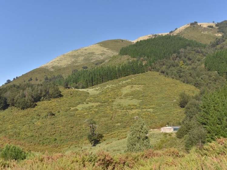 446 Glentui Bush Road Glentui_43