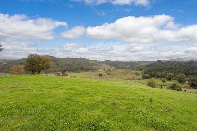 2/1745 Arapuni Road Te Awamutu_3