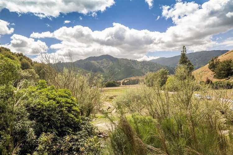 Camerons Road Havelock_6