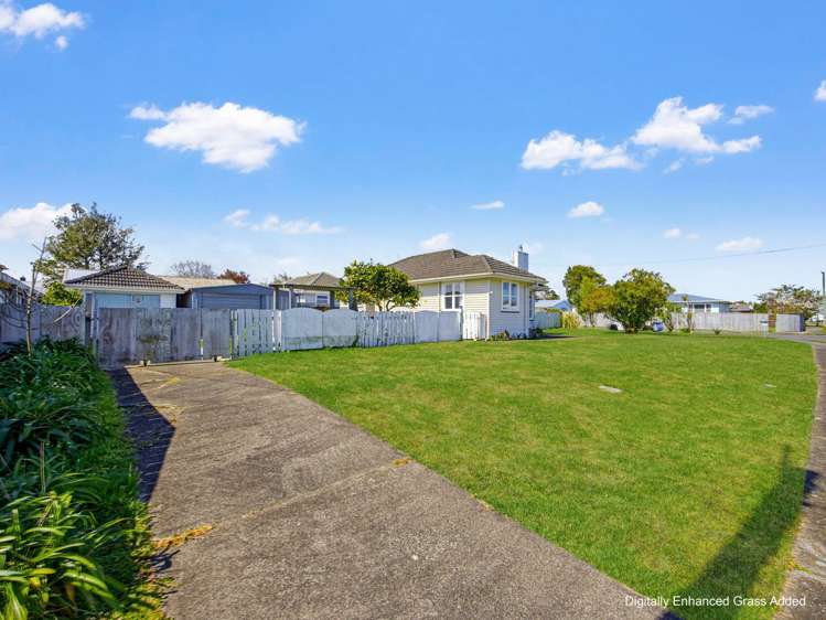 18 Clyde street Levin_26