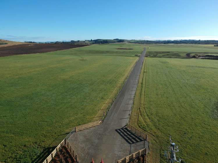 26 Springfield Road Totara_7