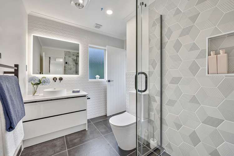 31 Regis Lane Flat Bush_25