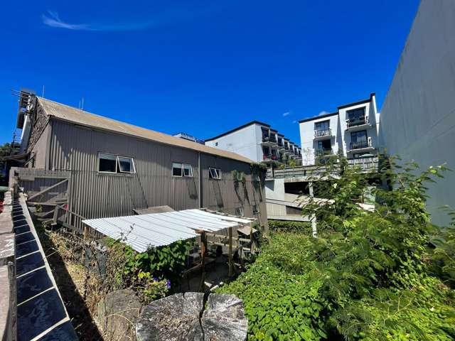 13 Karaka Street Eden Terrace_2