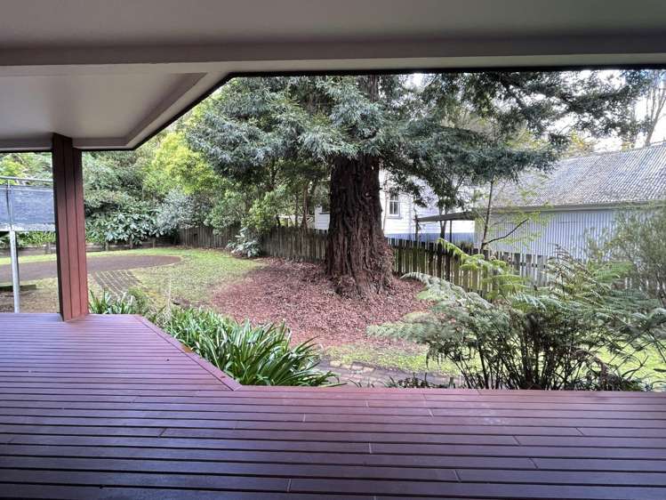 4/3 The Avenue Albany_8