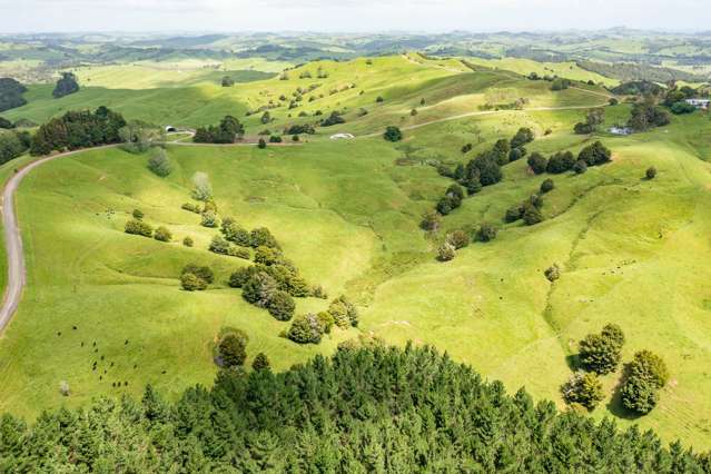 Mangarata Block Road (19.41 ha) Tangiteroria_2