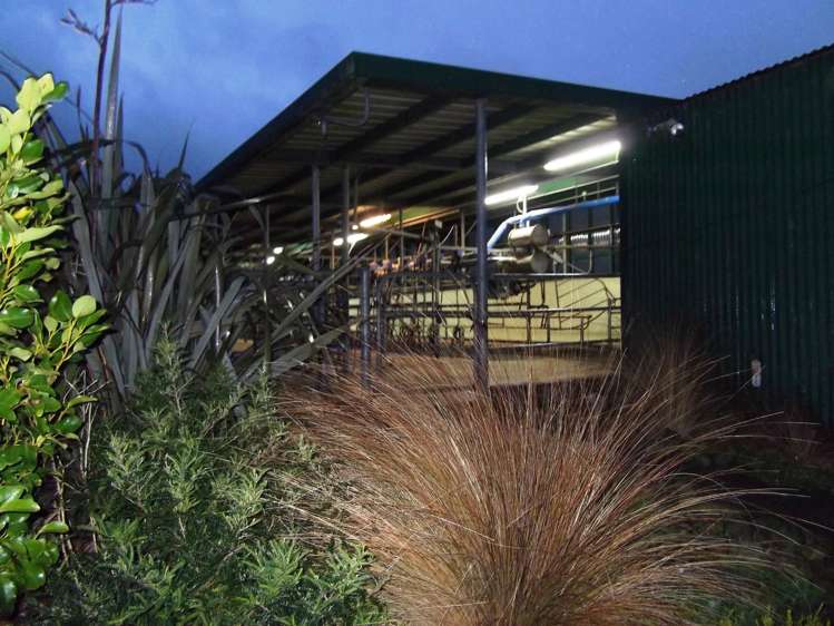 275 Cliff Road Eketahuna_8