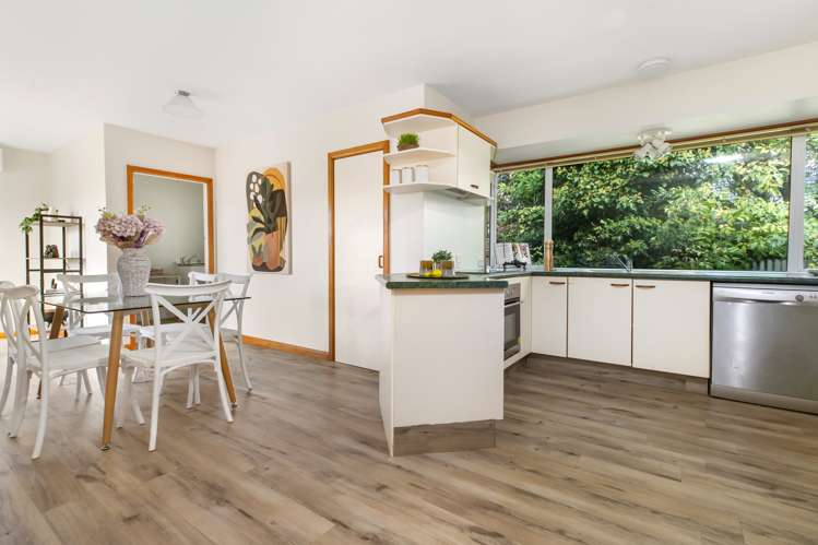 4 Pembroke Street Avondale_8