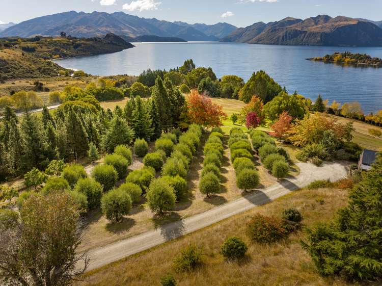 280 Wanaka-Mount Aspiring Road Wanaka_18