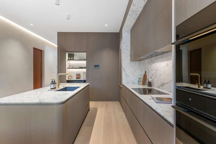 7B Francis Street Grey Lynn_6