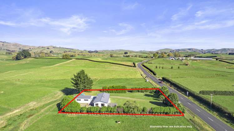 273 Chepmell Road Morrinsville_6