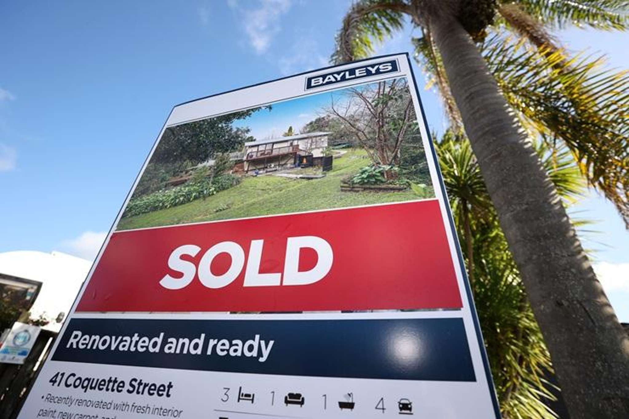 ‘Real estate on steroids’ - Bayleys leaves no one behind in merger