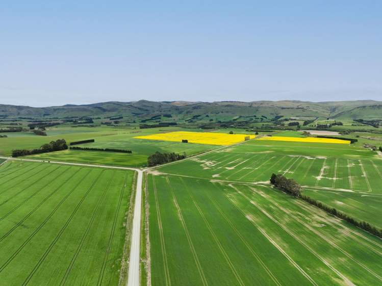 130 Warr Road Balfour_21