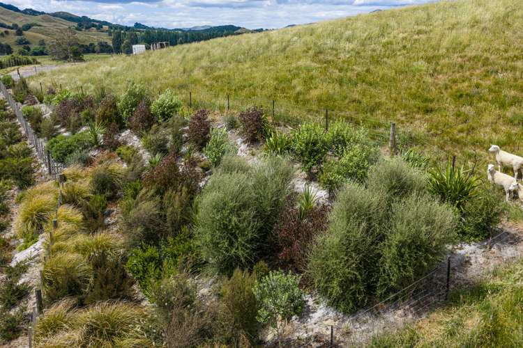 Lot Lot 2/2067 Elsthorpe Road_5