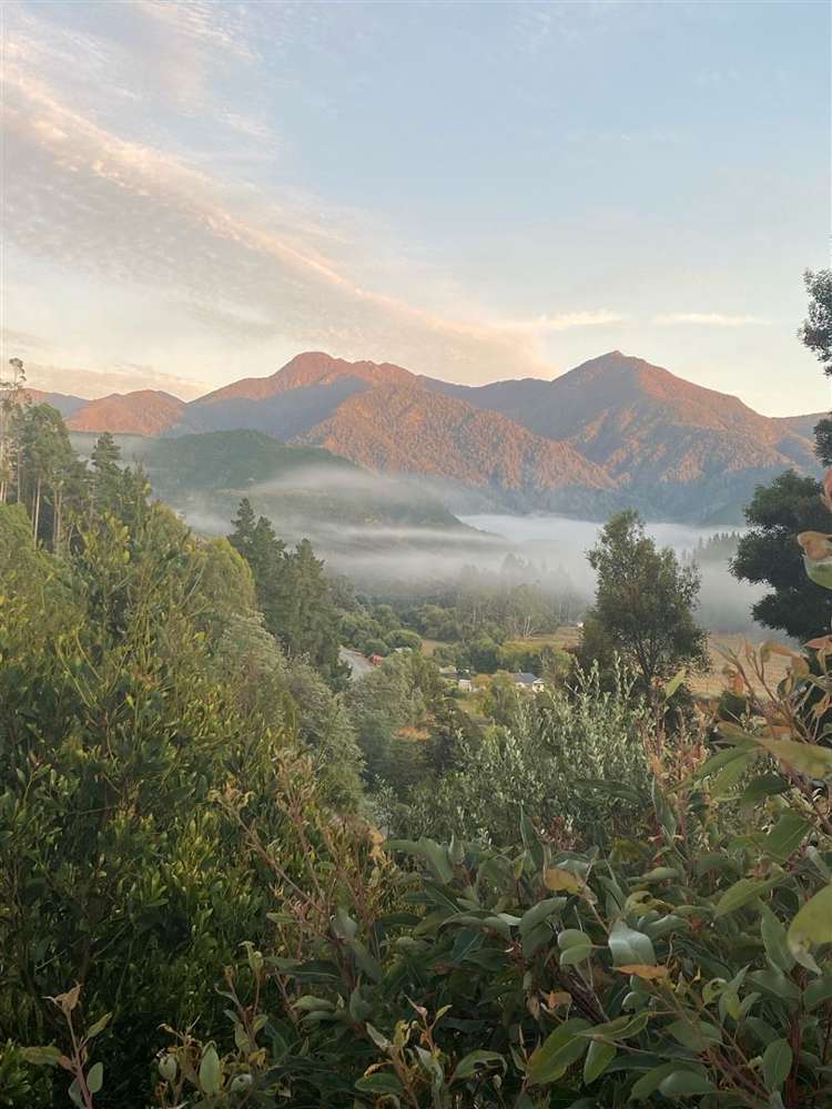 311 Onamalutu Road Wairau Valley_33