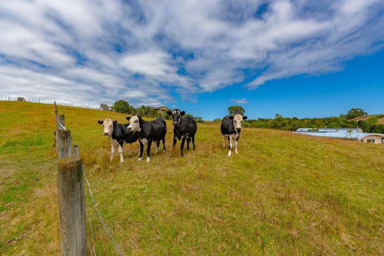 14b Wairere Road Waitakere_32