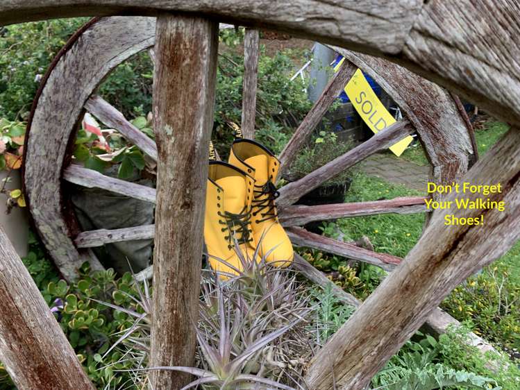 224 Martin Access Road Makarau_27