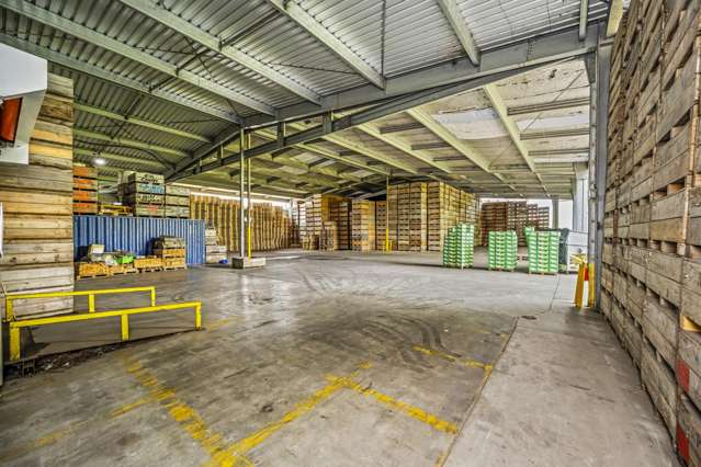 149 Phillip Road Takanini_4