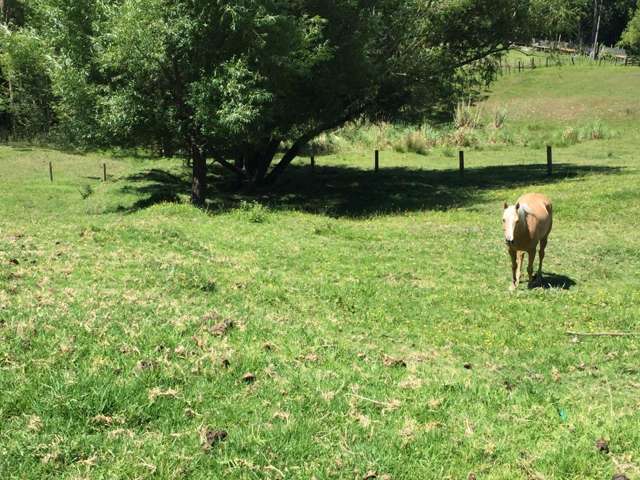 1242 Oneriri Road Kaiwaka_2