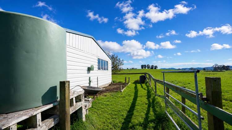 6 Keith Road Te Kauwhata_26