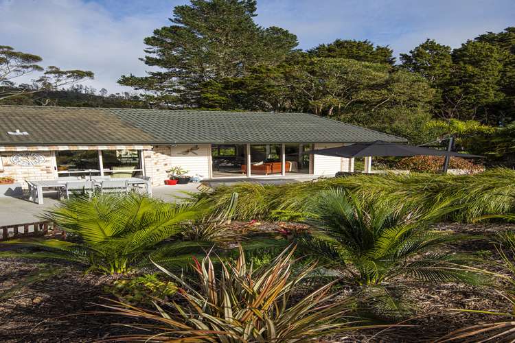 587b Crane Road Kauri_46