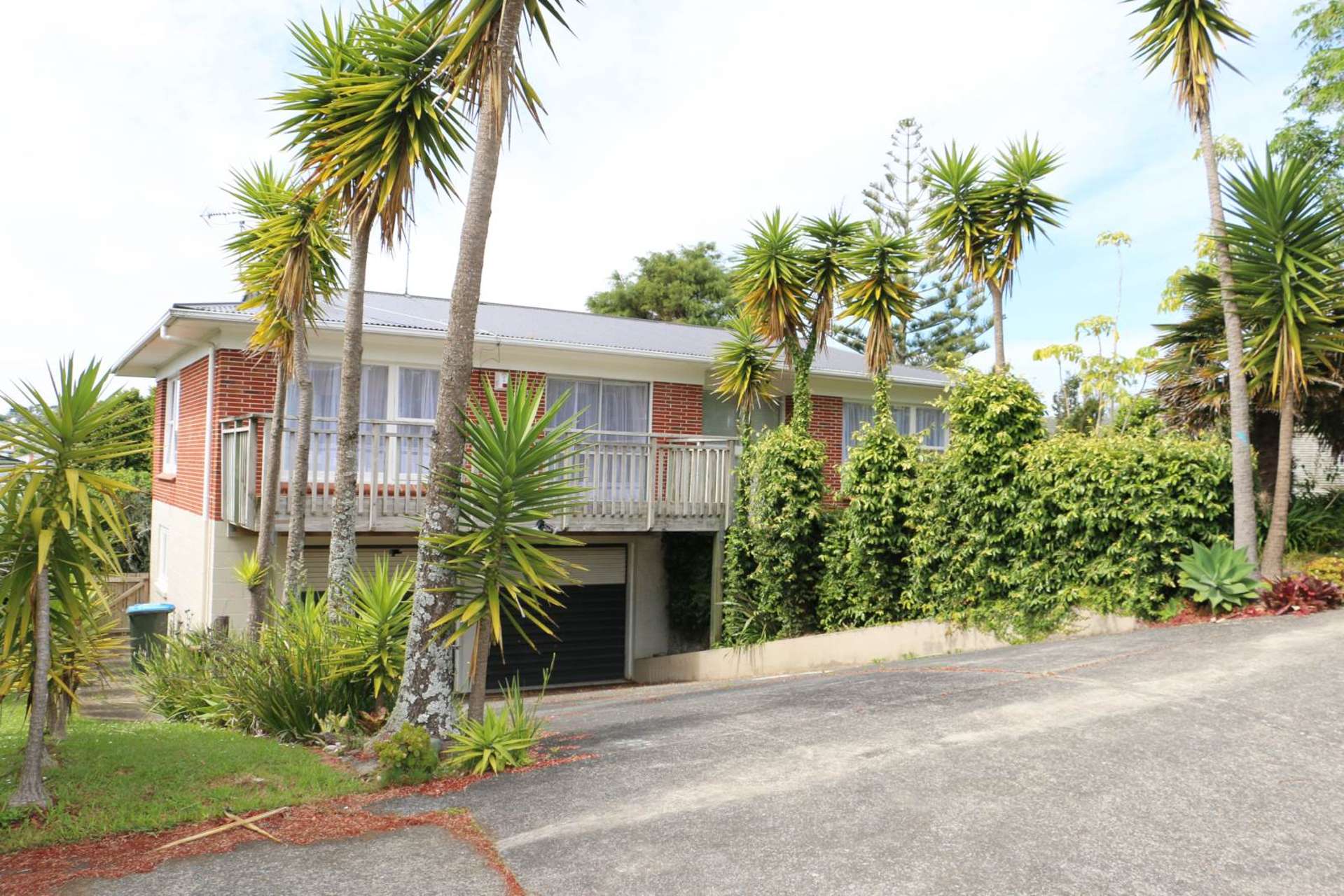 12 Tropicana Drive Mount Roskill_0