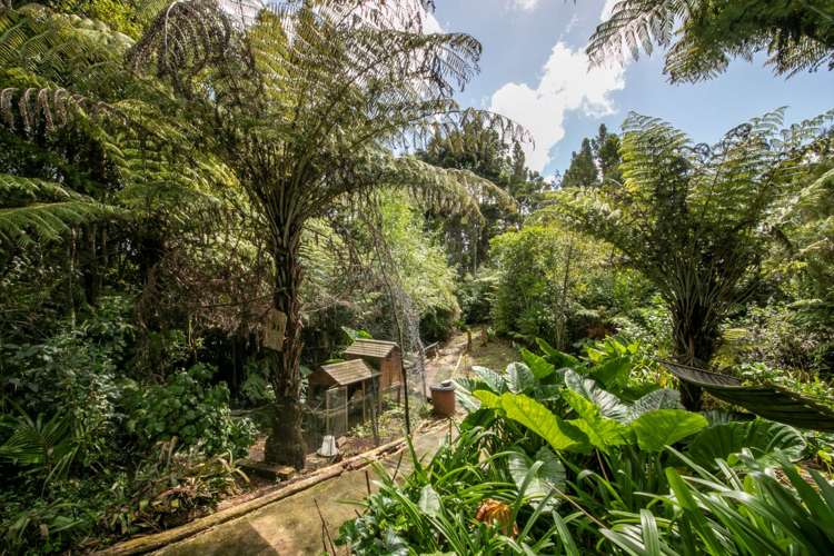 16 Kopiko Road Titirangi_18