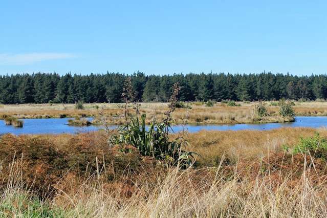 66 Te Kohanga Drive Pegasus_1