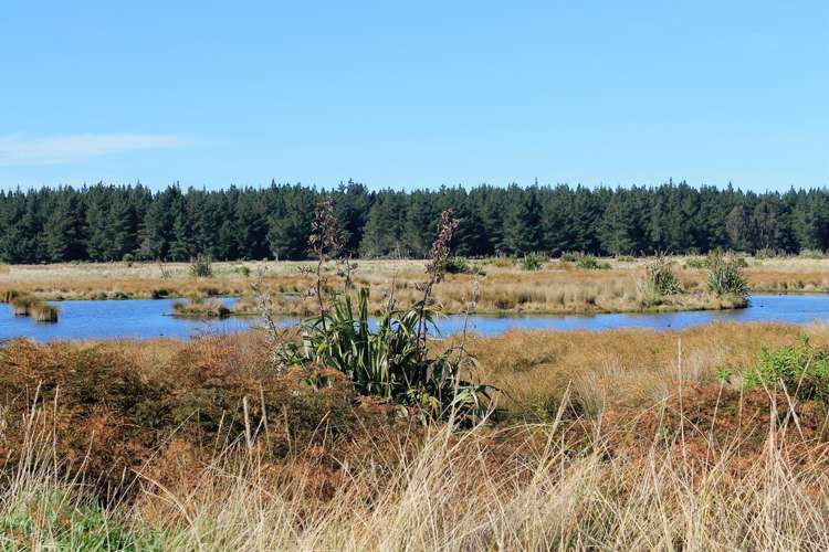 66 Te Kohanga Drive Pegasus_1