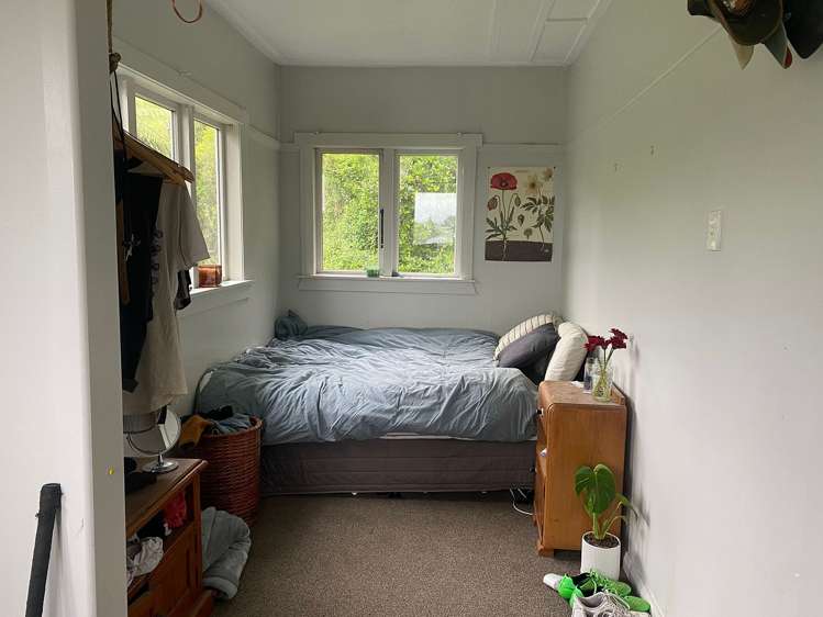 6 Semeloff Terrace Aro Valley_8