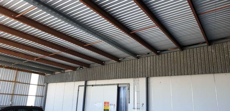 591 No 1 Road Te Puke_13