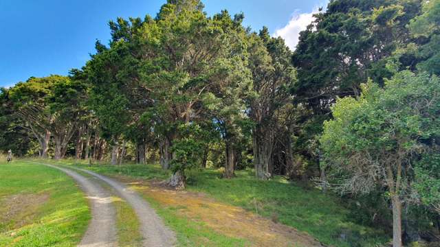 1241 Ararua Road Ararua_3