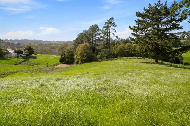 Stunning 1ha block available in Waitoki