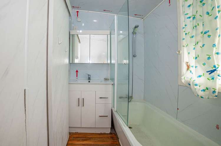 6 Halston Road Mount Eden_8