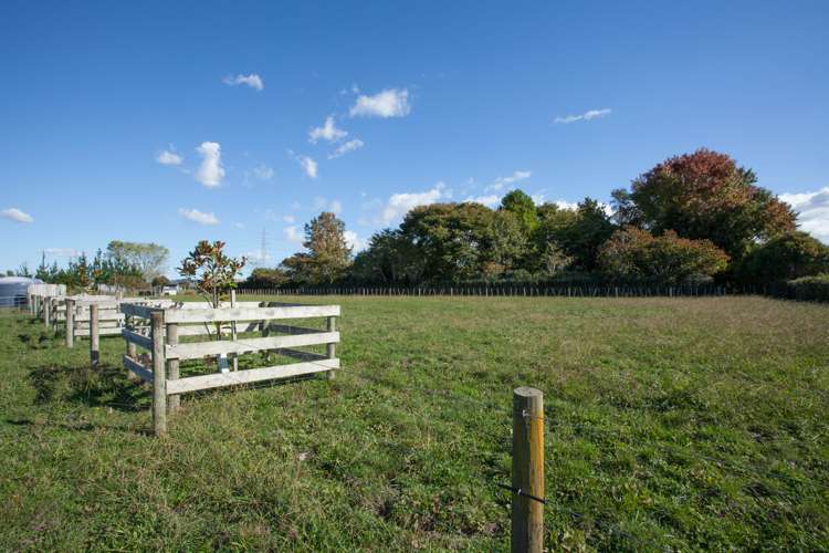 8 Dalziel Road Waerenga_19