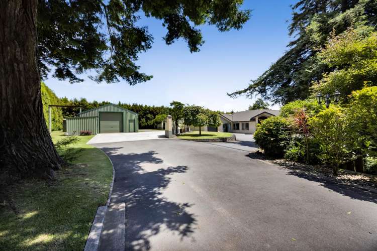 173 Dorset Road Hillsborough - New Plymouth District_41