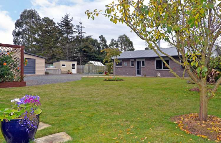 56 Harwood Street Harwood_14